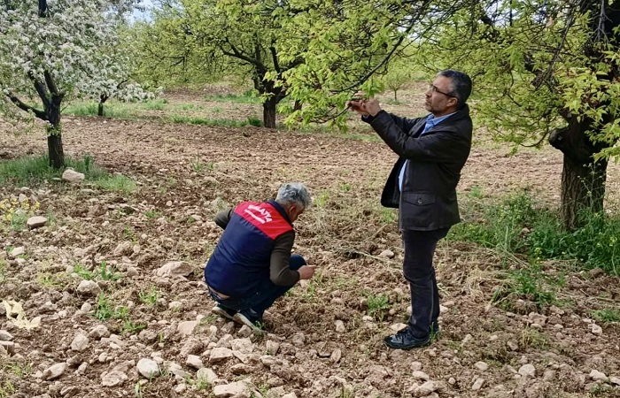 Malatya İl Tarım Müdürlüğü  Dolu Sonrası Hasar Tespit Çalışmalarına Başladı