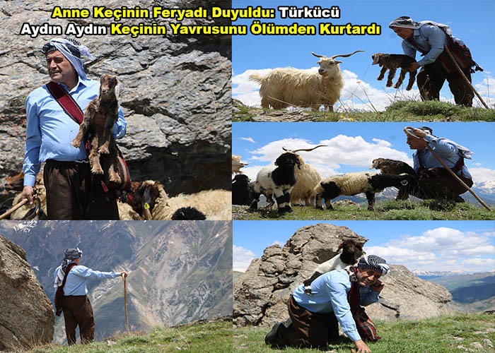 Ünlü Sanatçı Aydın Aydın’dan Duygulandıran Can Kurtarma Operasyonu