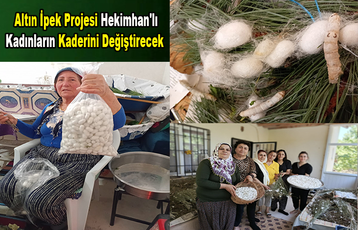Hekimhan’lı Kadınlar İpek Böceği Yetiştiriciliğine Yoğun İlgi Gösteriyor